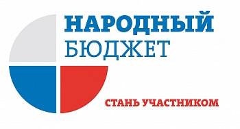 народный бюджет
